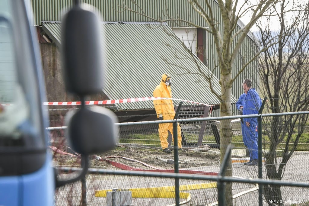 Grootste besmetting vogelgriep in Heythuysen: 300.000 leghennen