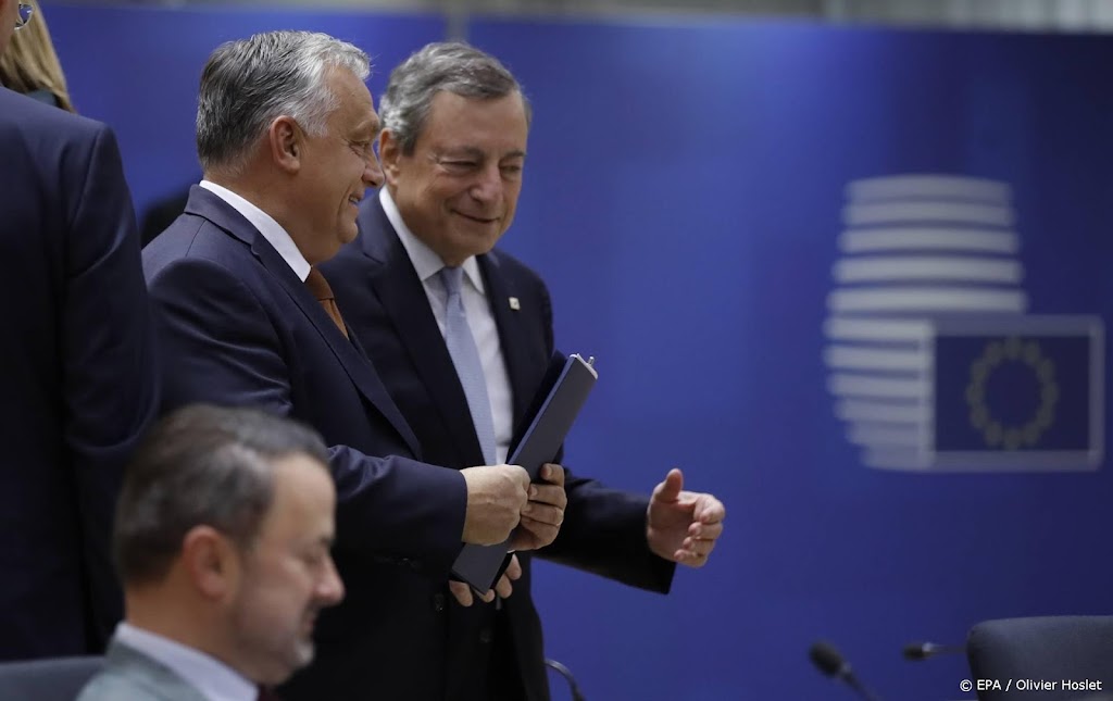 Draghi pleit op zijn laatste EU-top voor opnieuw samen lenen