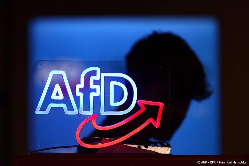 Bild: e-mailaccounts Duitse partij AfD getroffen door hack