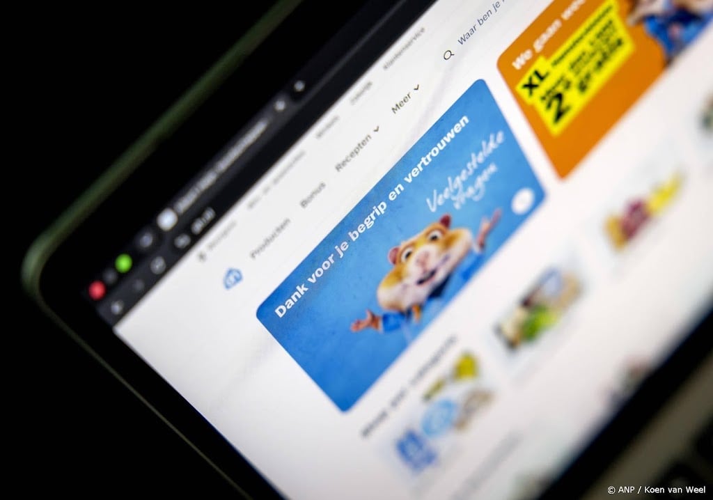 Amerikaanse websites Ahold Delhaize stapsgewijs weer online