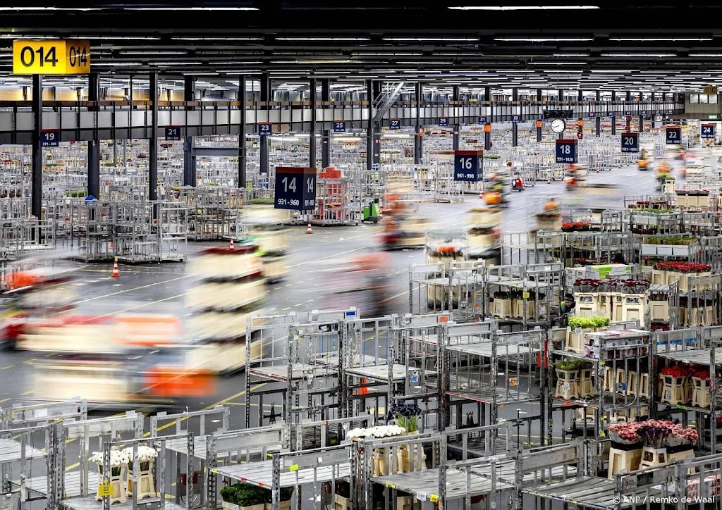 Exportwaarde Nederlandse bloemen en planten dit jaar gedaald