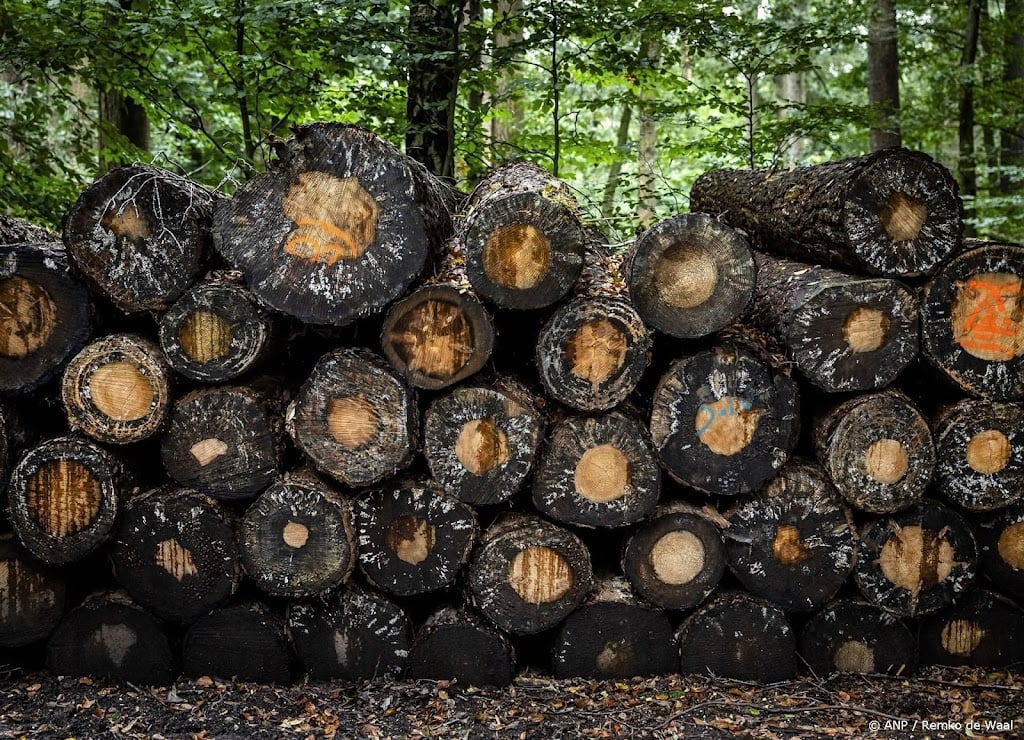 Natuurorganisaties krijgen gelijk in rechtszaak over boskap 