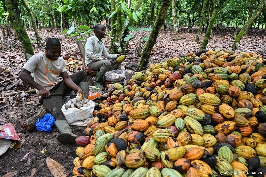 Chocolade blijft voorlopig duur ondanks gedaalde cacaoprijzen