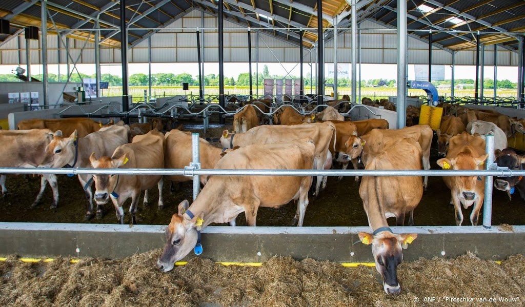 Onderzoek Greenpeace: duurzaam boeren levert winst op