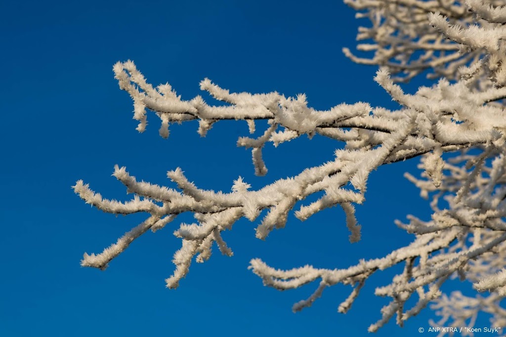 Eerste lokale ijsdag deze winter