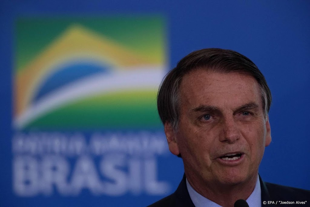Brazilië maakt raad voor Amazone om regenwoud te beschermen
