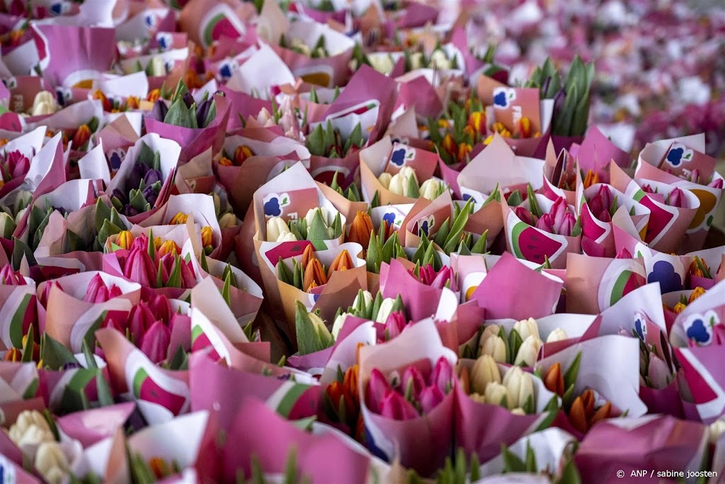 Duizenden bezoekers bij opening pluktuin Nationale Tulpendag