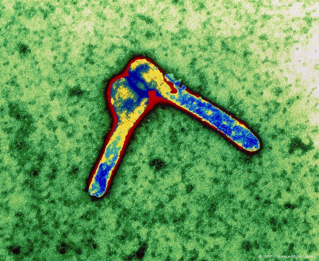 Dodelijk marburgvirus duikt op in Tanzania