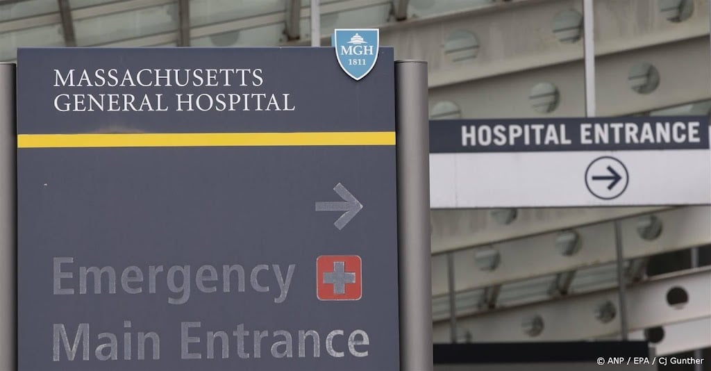 Artsen in Boston transplanteren nier van varken naar patiënt