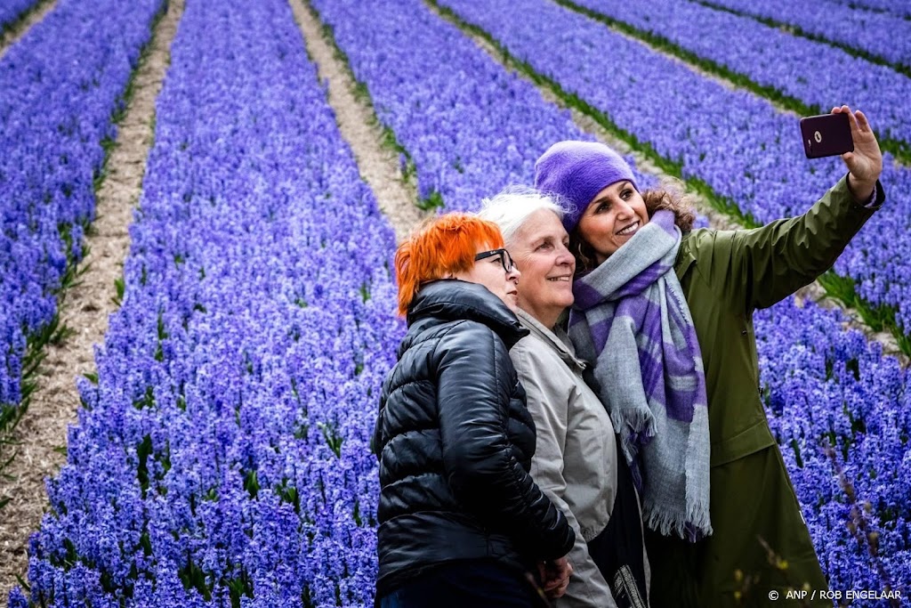 Ook 'selfievelden' bij tulpenfestival in Flevoland