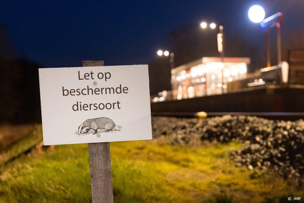 Treinen bij Molkwerum rijden maandag weer na overlast door dassen