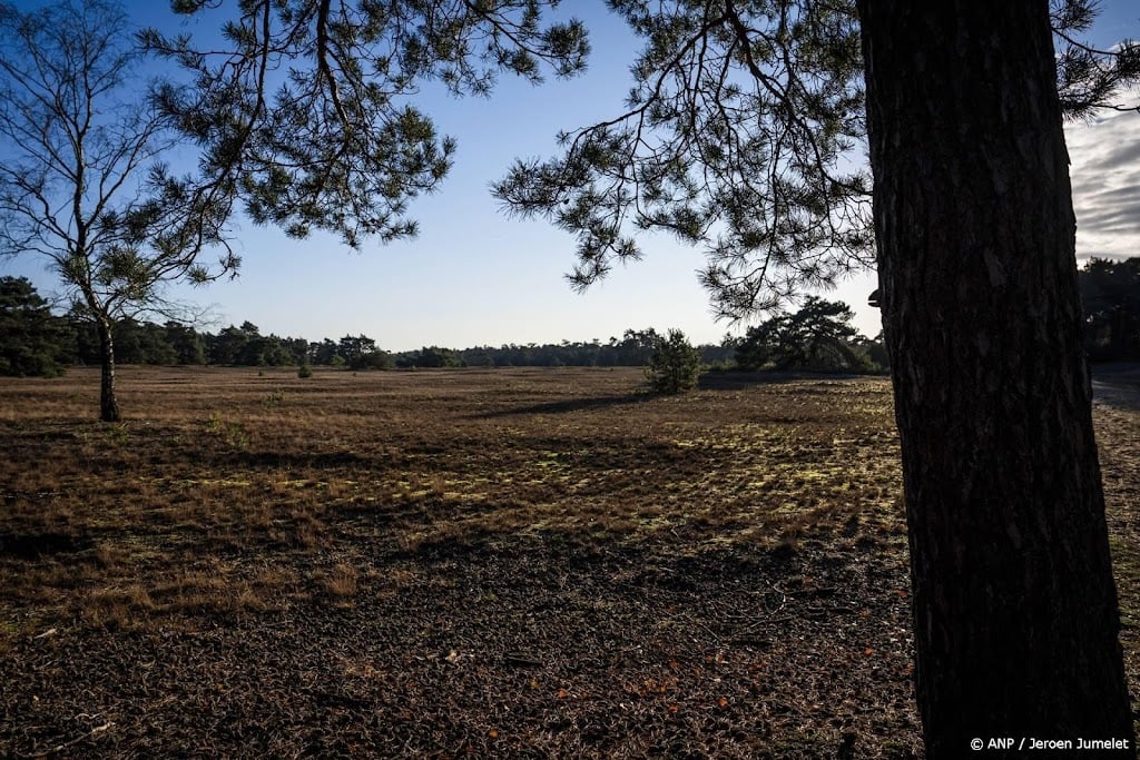 Twaalf blusvoertuigen uitgerukt voor grote natuurbrand in Otterlo