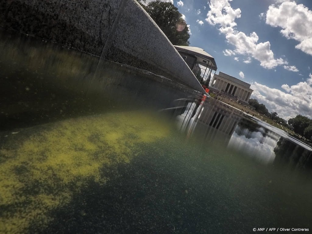 Verf laat los van Reflecting Pool, Trump geeft vandalen de schuld