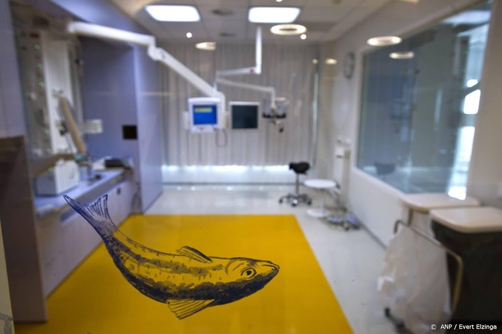 Nederlandse ziekenhuizen vol met kinderen met RS-virus