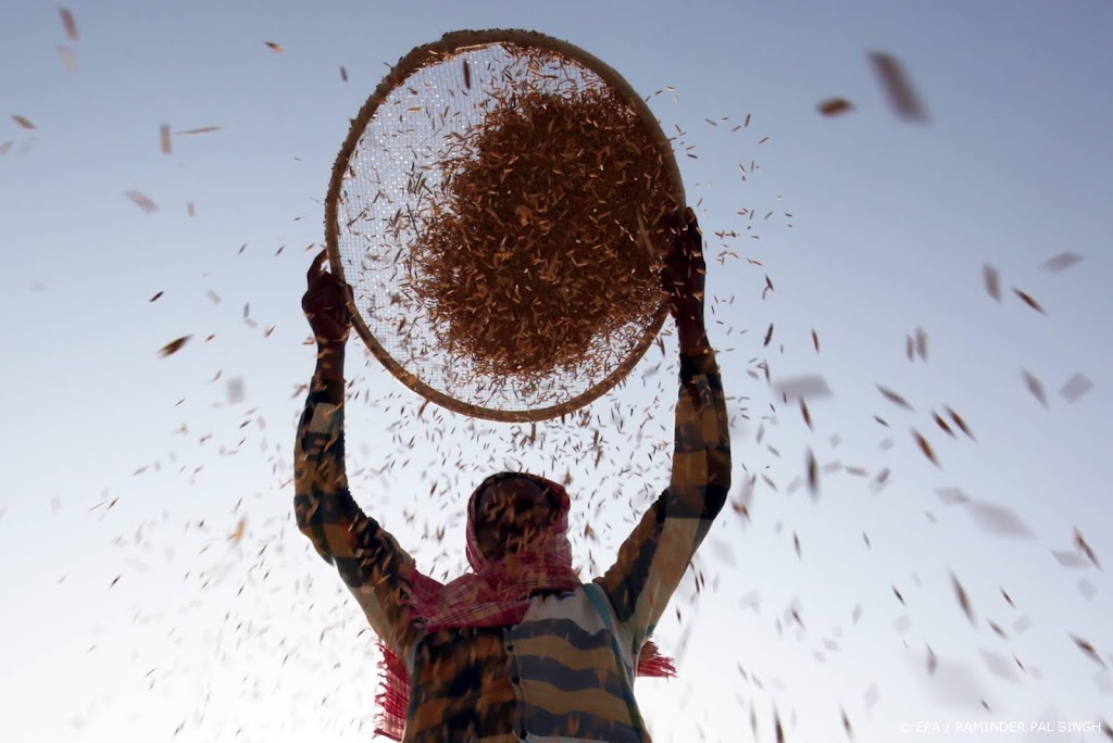 India kan belofte om grote graanexporteur te worden niet nakomen