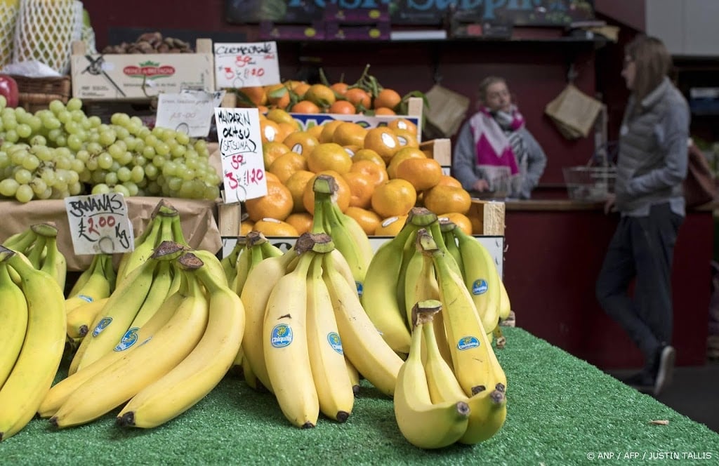 Panamese president wil dat bananenconcern Chiquita terugkomt