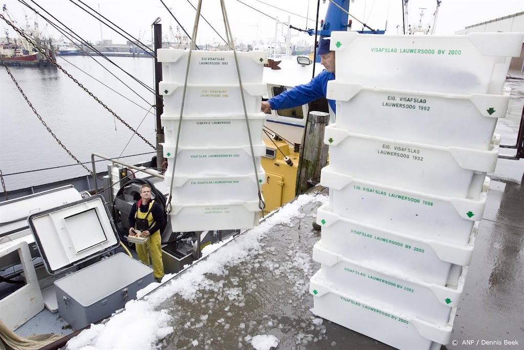 Nederlandse kottervisserij draait weer met verlies