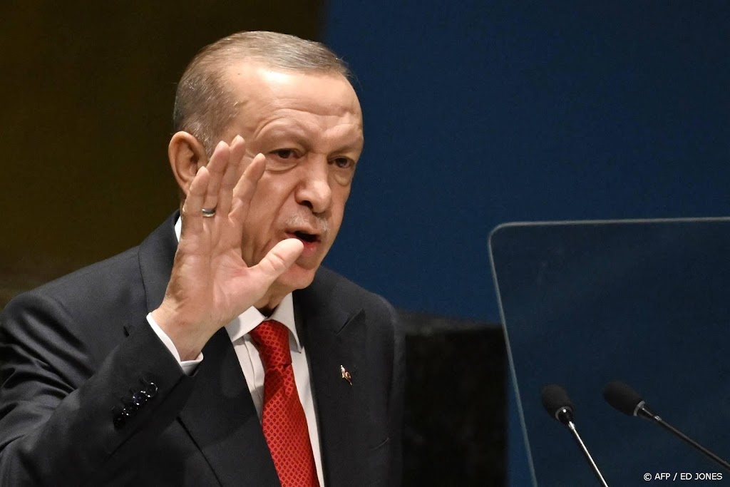 Erdogan kan zich niet vinden in 'negativisme' over Poetin