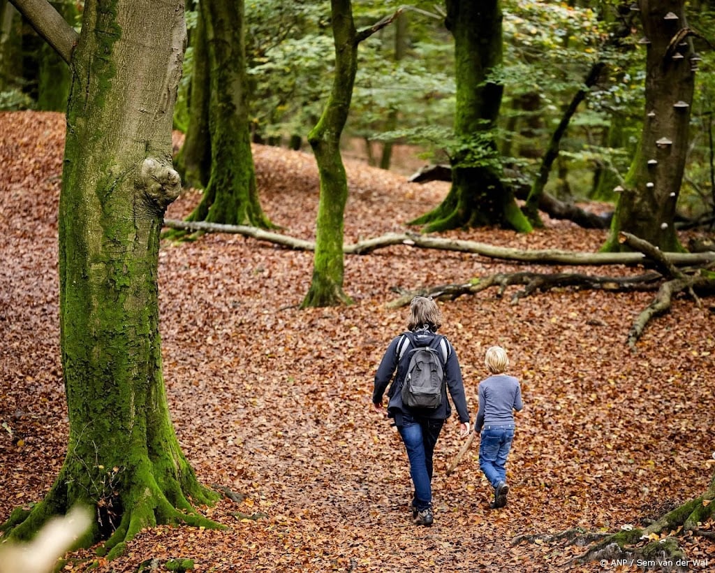 Astronomische herfst begint wisselvallig en koel 