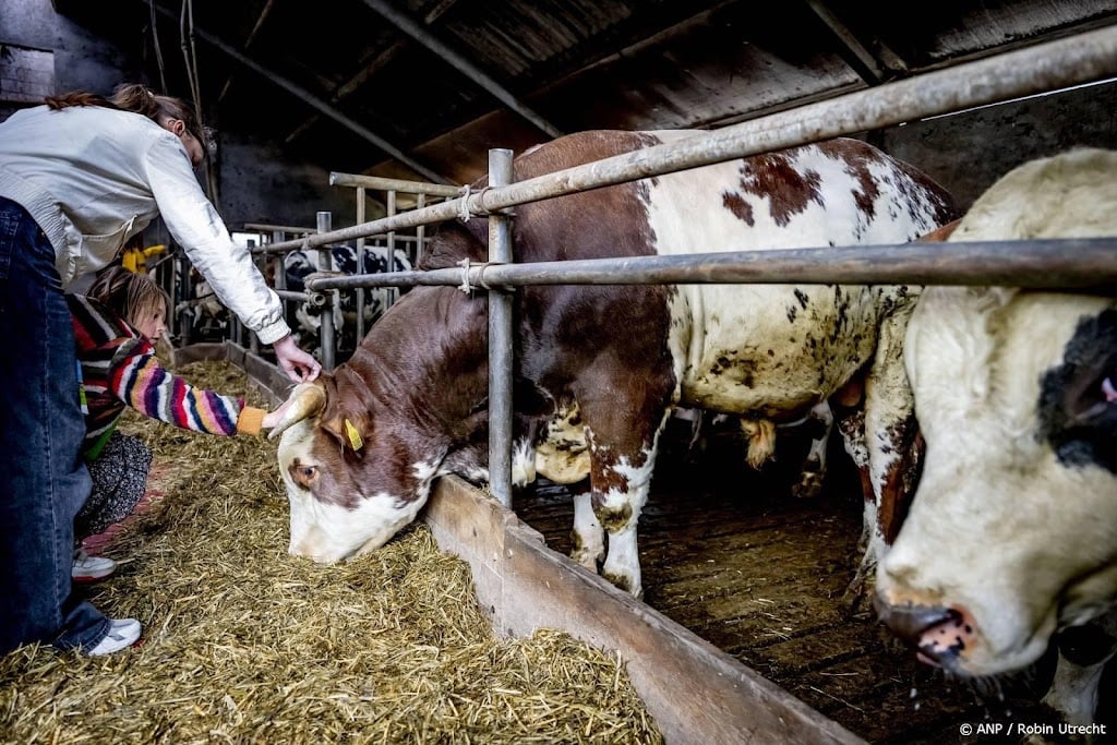 Utrechtse gemeenten uiten zorgen over provinciaal stikstofplan