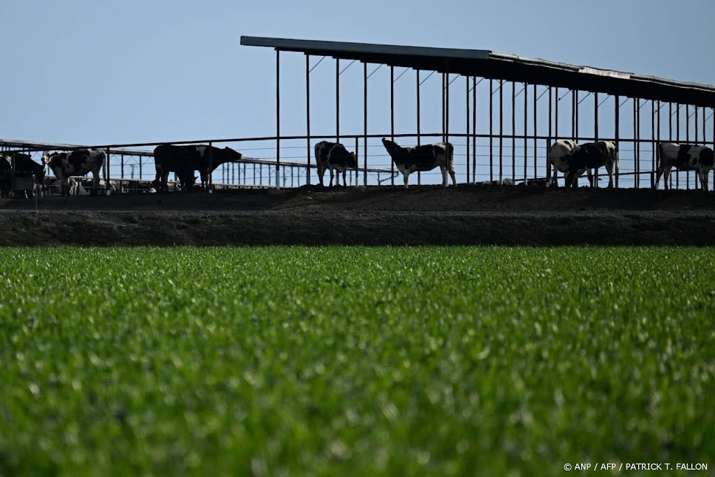 Boeren in VS boos over idee Trump voor extra vlees uit Argentinië