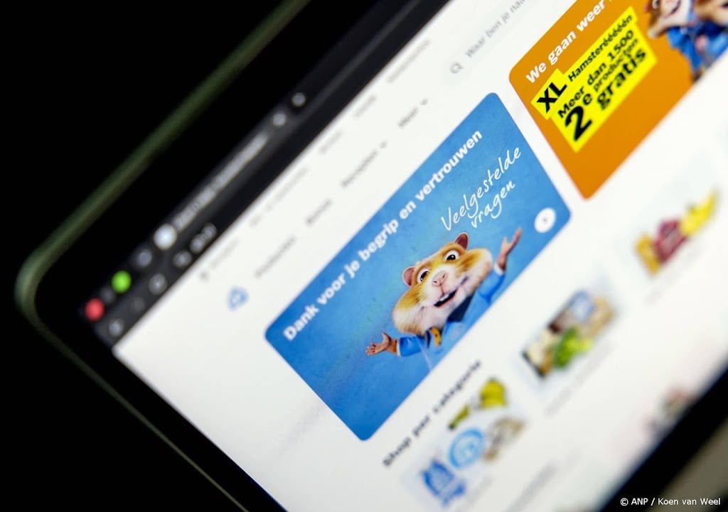 Websites Amerikaanse zusterketens Albert Heijn werken weer