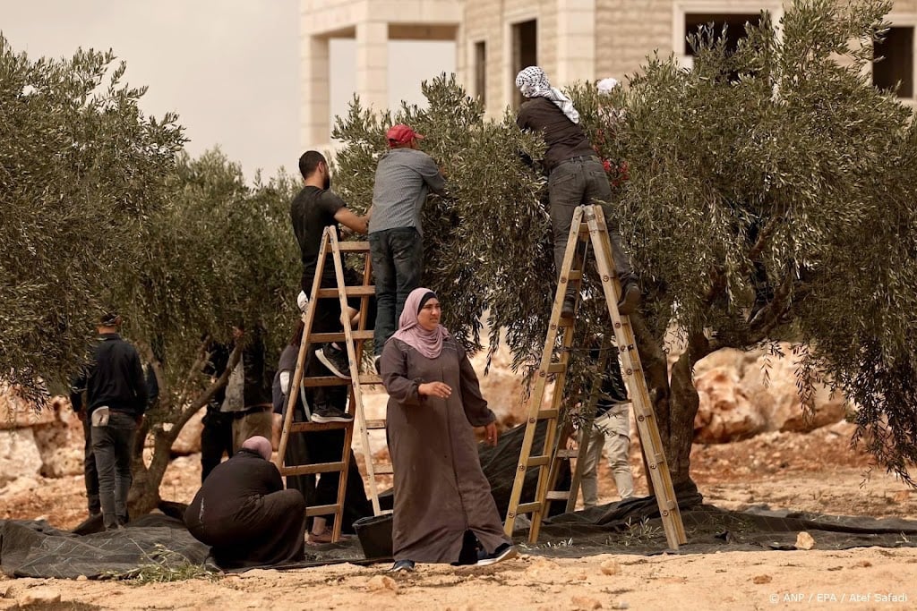 Amerikaanse politicus en 72 anderen vrijgelaten door Israël
