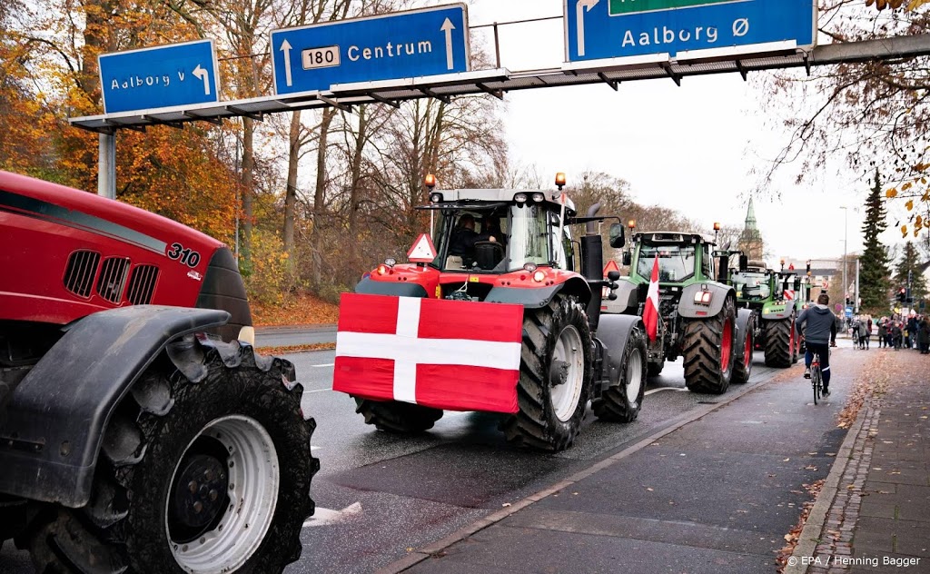 Deense boeren protesteren tegen ruimen van nertsen
