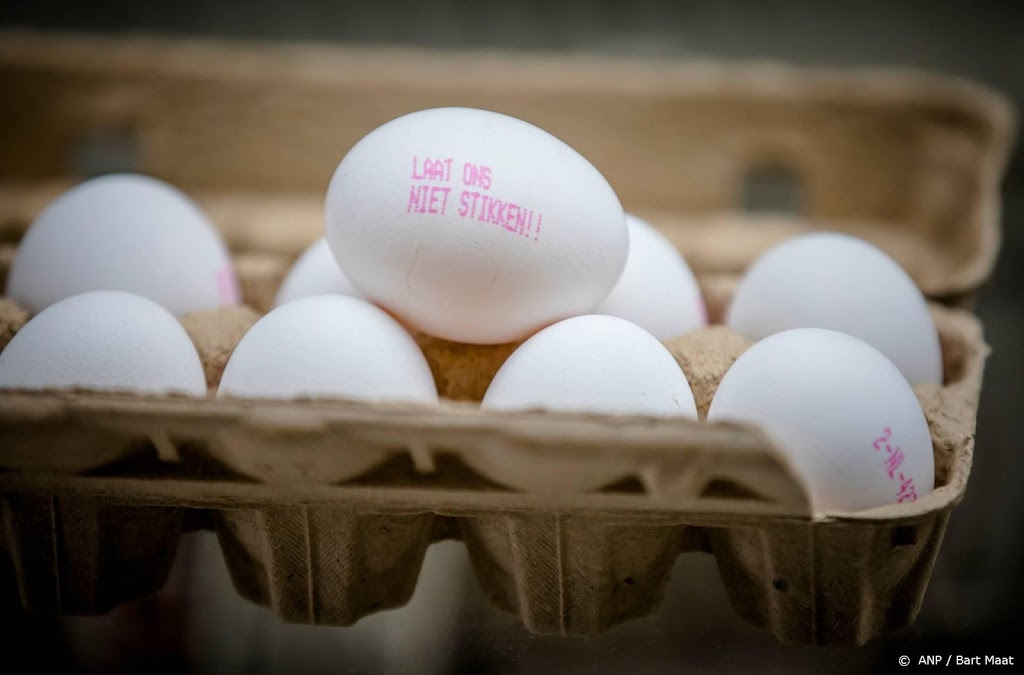 Advocaat: middel Chickfriend niet schadelijk
