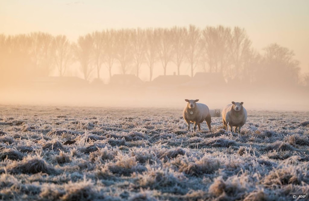 Code geel om mist in noordwesten van Nederland