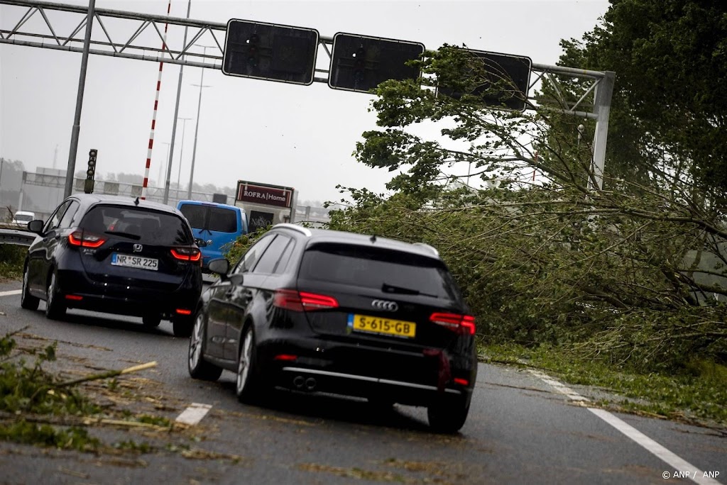Rijkswaterstaat: hinder op snelwegen door omgewaaide bomen