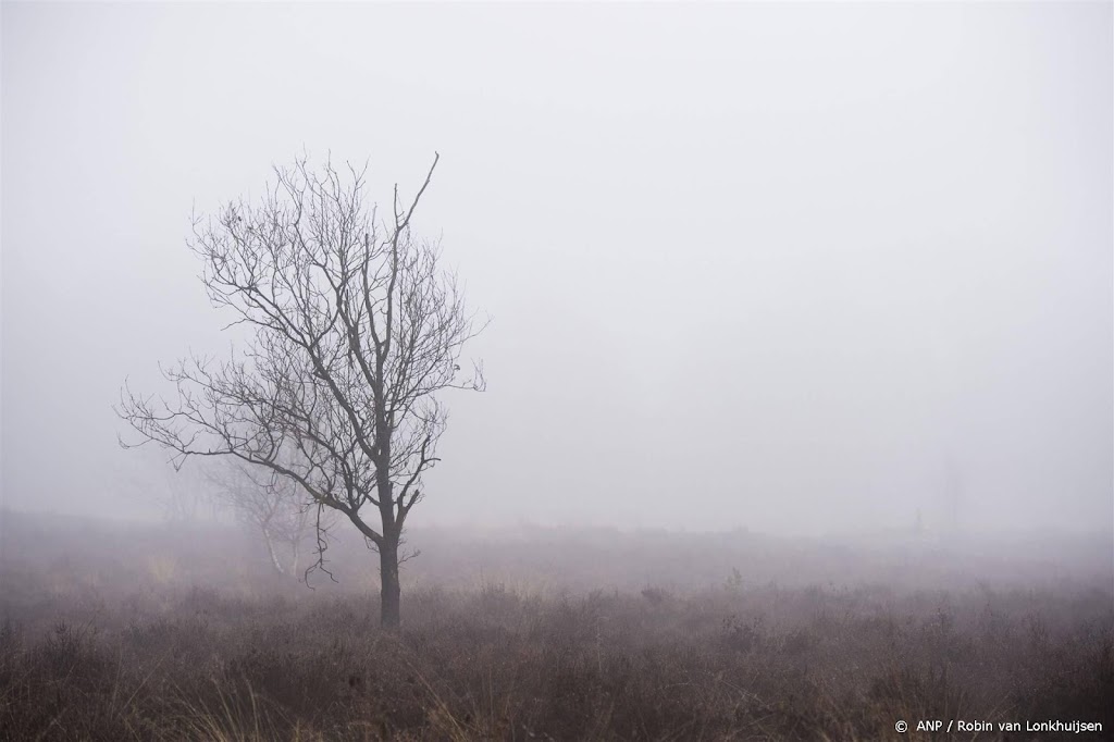 Waarschuwing voor dichte mist in zuiden en zuidwesten