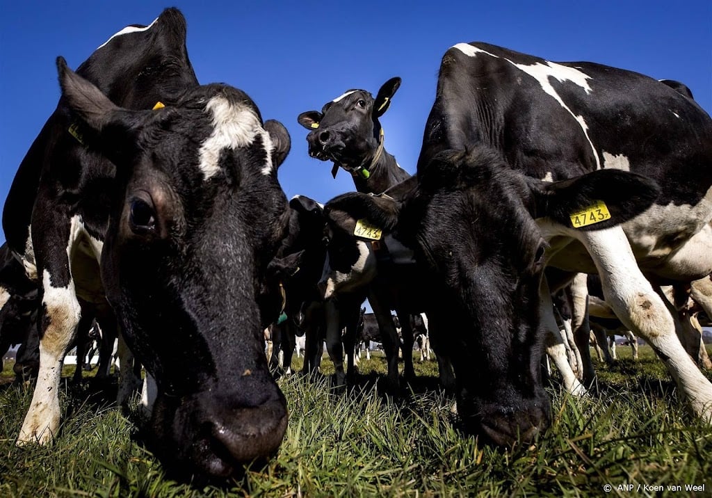 Provincie Utrecht gaat duurzame melkveehouders belonen