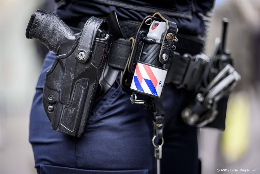 Graven en urnen vernield op Haagse begraafplaats