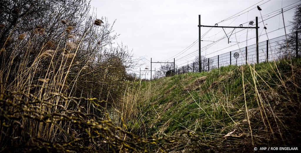 Dassenwerkgroep: actie tegen dassenburcht bij spoor te laat