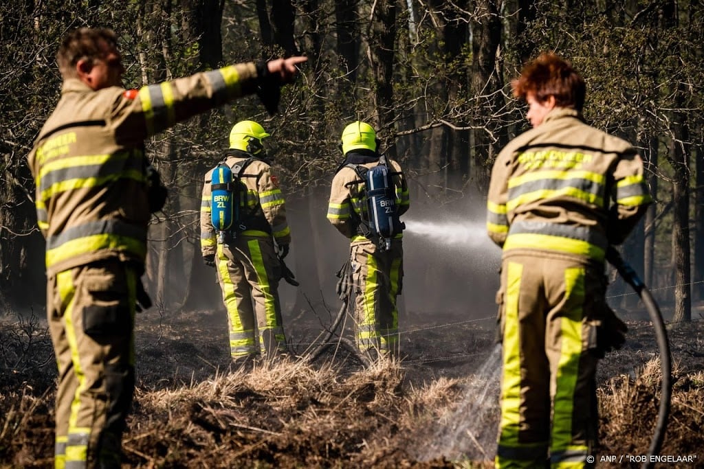 Heel Herkenbosch ontruimd vanwege natuurbrand 