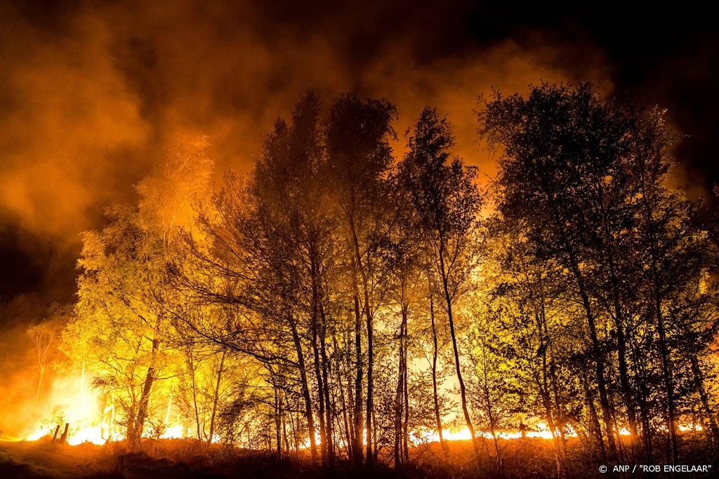 Natuurbranden Weerribben en Moergestel geblust
