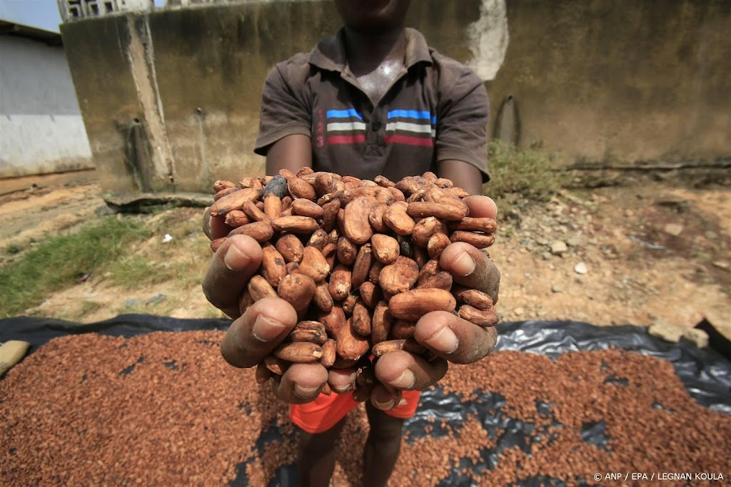 Oxfam Novib: recordprijzen cacao gevolg van onderbetaling boeren