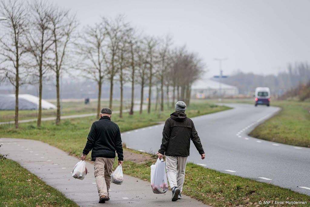 Inspecties: zorg asielzoekers met psychische nood onvoldoende