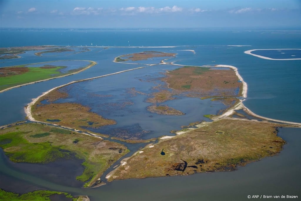 Nederland kampioen in verlies van biodiversiteit, ziet Naturalis