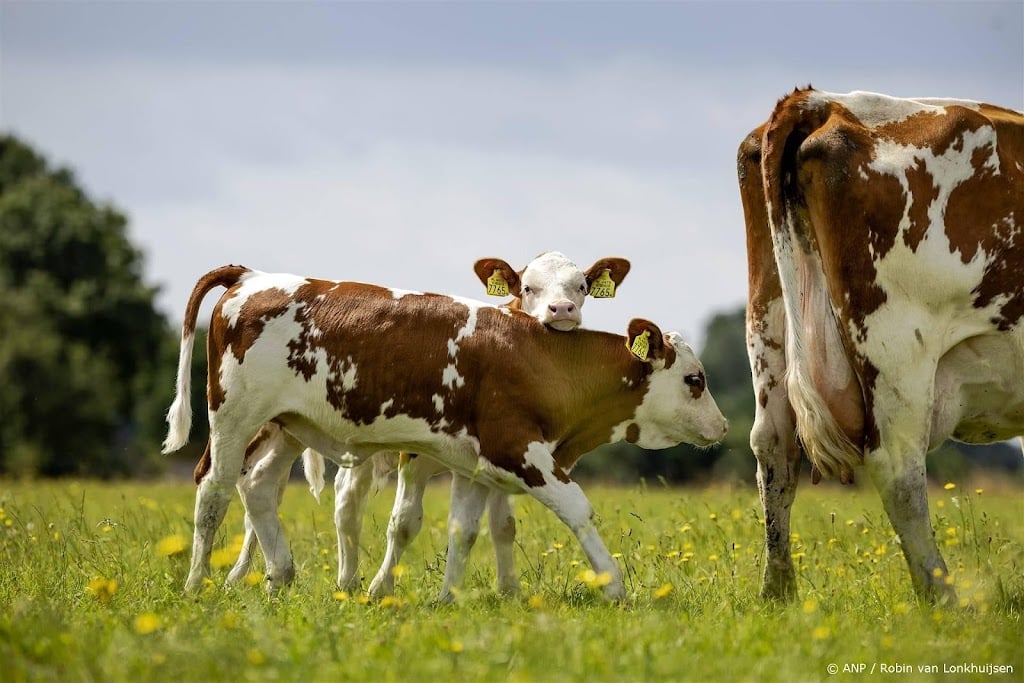 Biologische landbouw opnieuw gegroeid, Noord-Holland aan kop