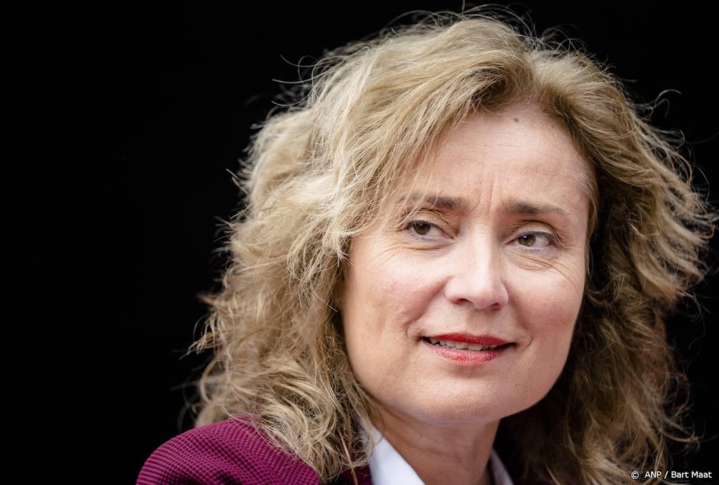 Bergkamp: Kamerleden moeten veilig en vrij werk kunnen doen