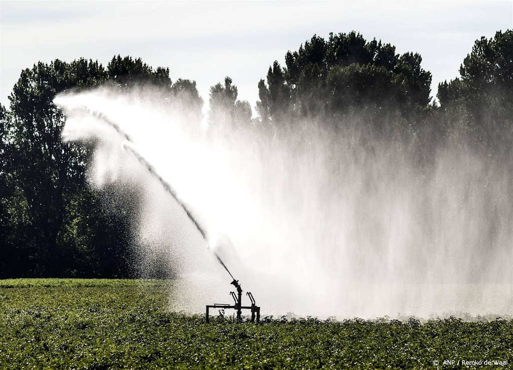 Waterschap stelt sproeiverbod voor Zuid-Limburg in
