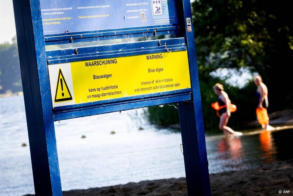 Natte zomer is ook goed nieuws: weinig meldingen blauwalg