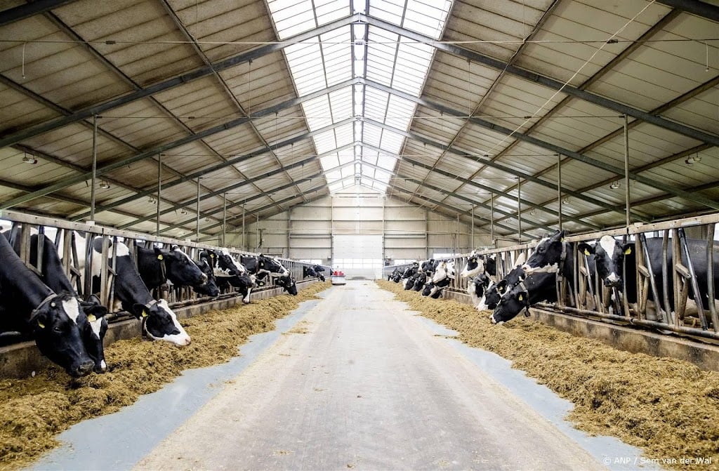 Brussel keurt subsidieprogramma voor verhuizing van boeren goed 