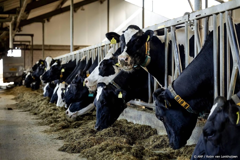Winst FrieslandCampina hard geraakt door overvloed aan melk