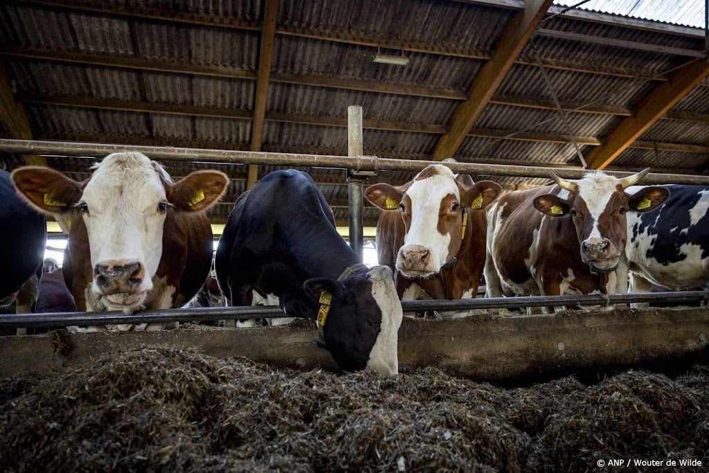 Weinig animo voor subsidie voor minder koeien, regeling verlengd