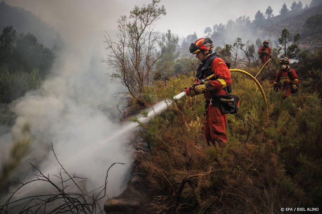 Spanje verklaart alle bosbrandgebieden tot rampgebied