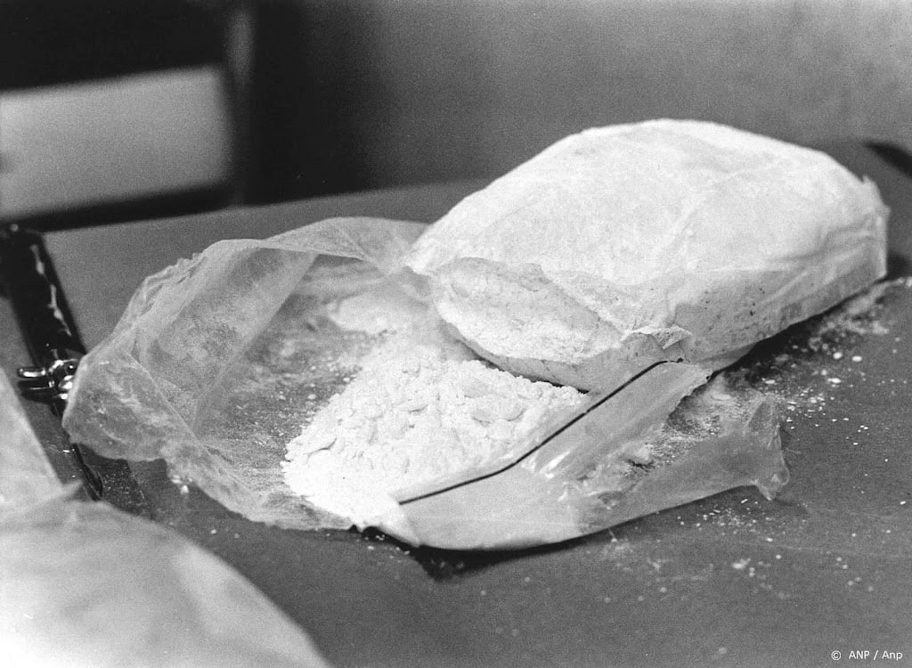 Douane onderschept 700 kilo cocaïne in Rotterdamse haven