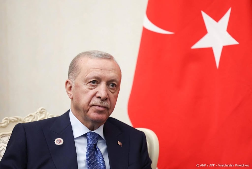 Erdogan pleit voor afschaffen vetorecht bij VN-Veiligheidsraad